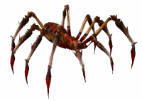 Μανιώδης Κόκκινη Αράχνη.png